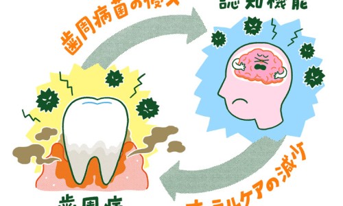 白萝卜具有什么作用-白萝卜的作用和副作用专区_白萝卜有什么用专区_百萝卜有药用吗网