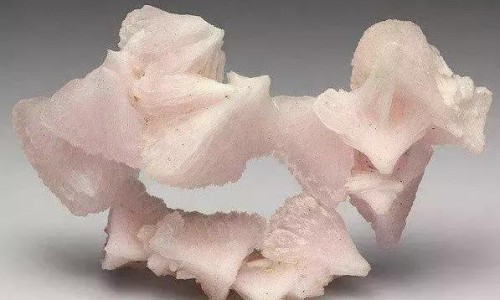 白萝卜的危害是什么-白萝卜的作用和副作用专区_白萝卜有什么用专区_百萝卜有药用吗网